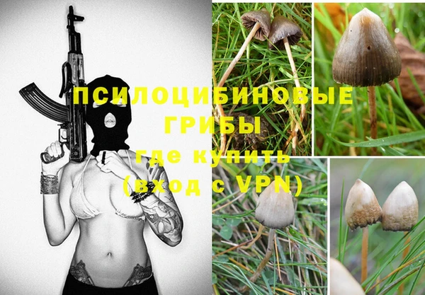 гидропоника Аркадак