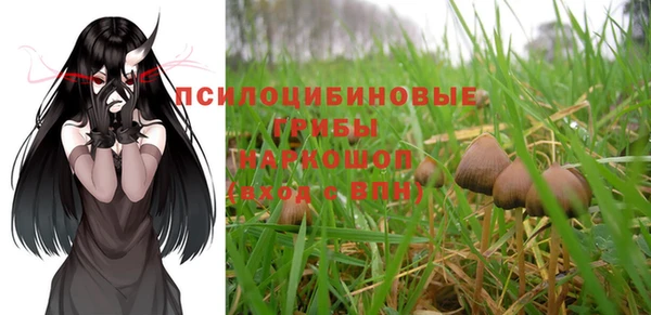 меф Арсеньев