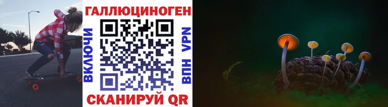 Псилоцибиновые грибы GOLDEN TEACHER  цена   Сураж 