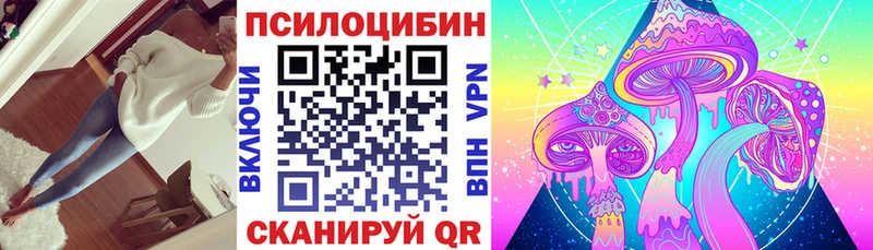Псилоцибиновые грибы мицелий Сураж